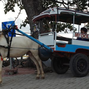 gili air local transport